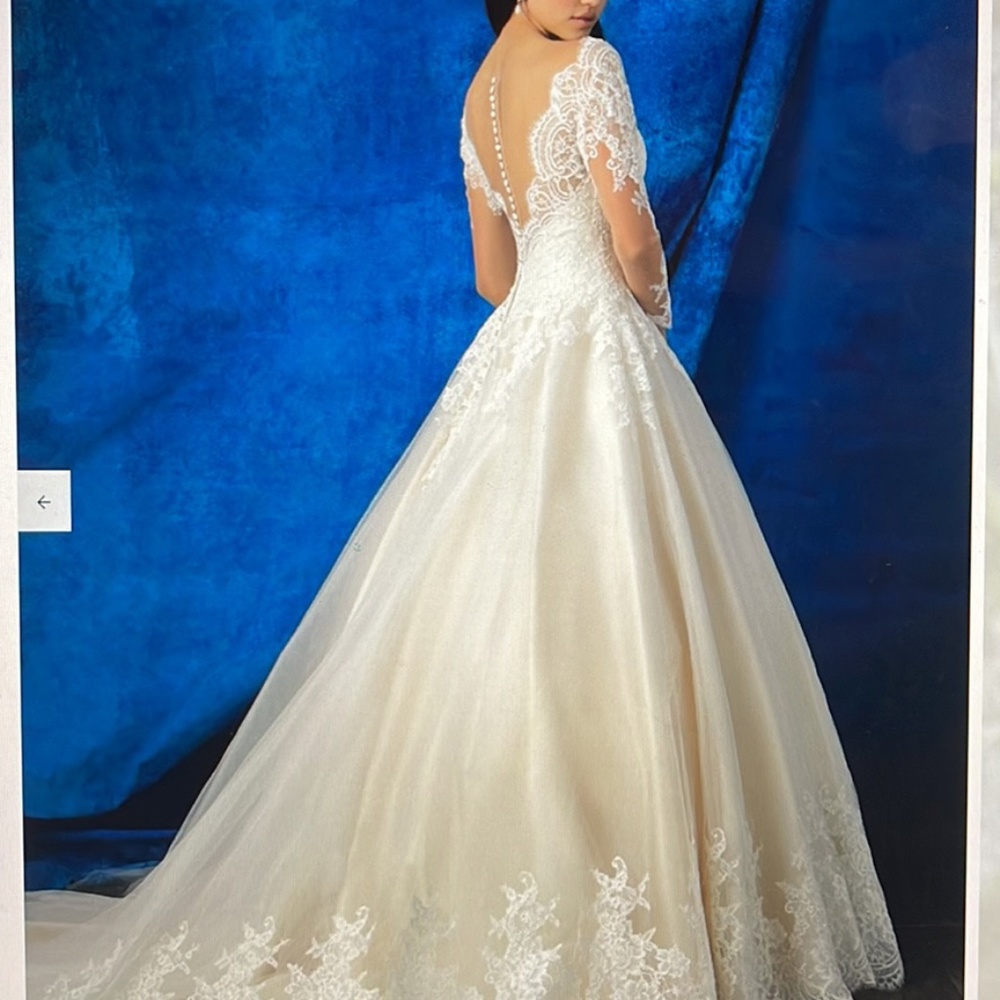Wedding Dress - Picture 5 of 5